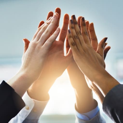 About Digital Nexture